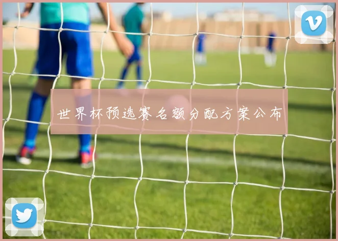 世界杯预选赛名额分配方案公布